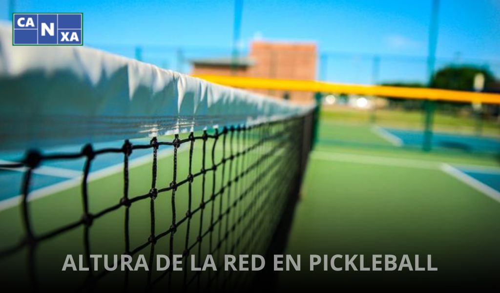 ALTURA DE LA RED EN PICKLEBALL