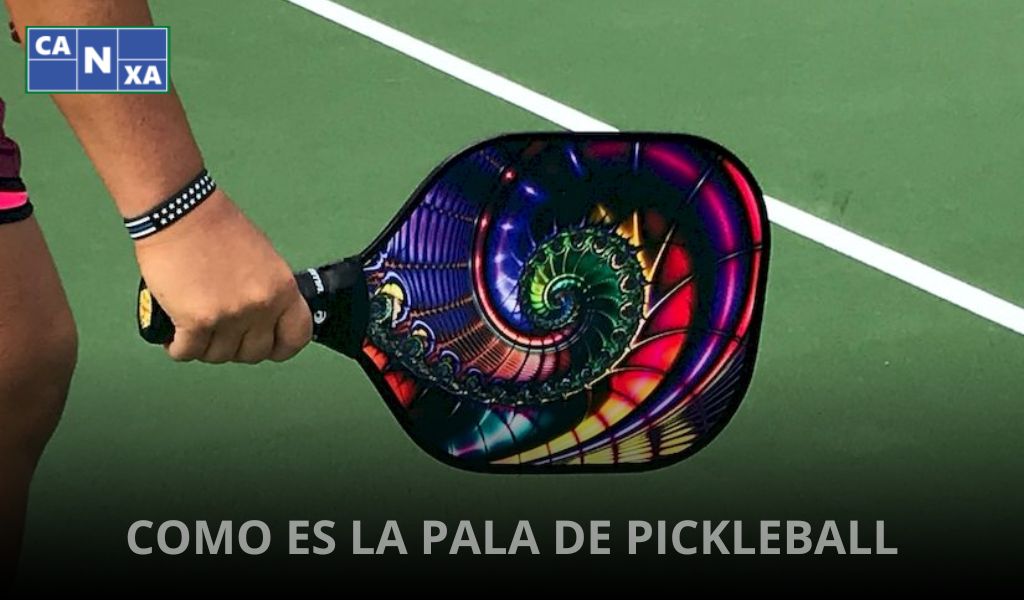 COMO-ES-LA-PALA-DE-PICKLEBALL