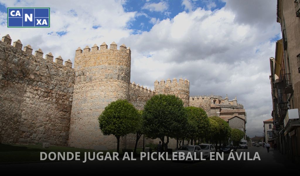 pickleball toledo